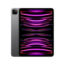 Apple iPad Pro 11 2022 Wi-Fi 1TB Space Gray (MNXK3)