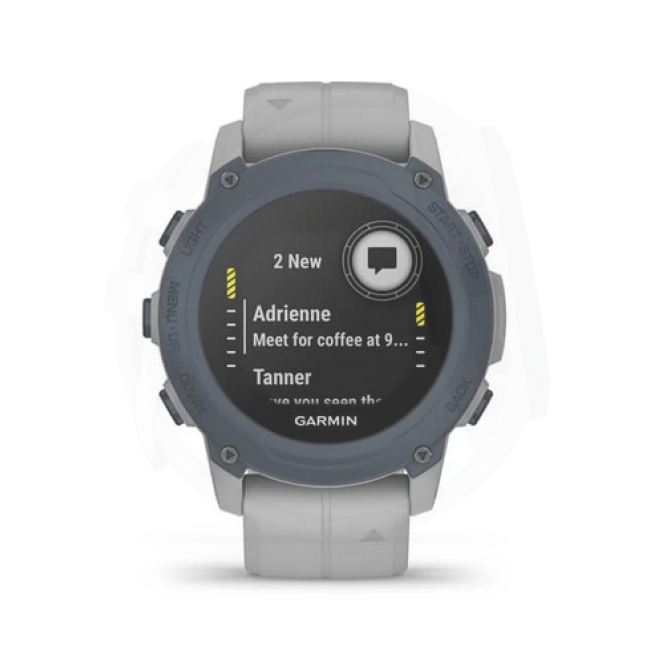 Garmin Descent G1 Powder Gray (010-02604-01/11)