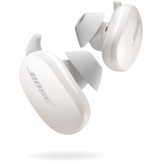 Bose QuietComfort Earbuds Soapstone (831262-0020)