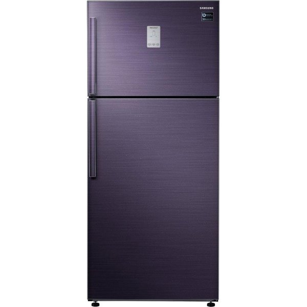 Холодильник с морозильной камерой Samsung RT53K6340UT