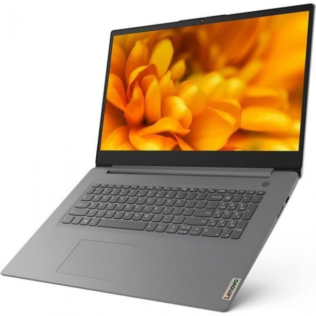 Ноутбук Lenovo IdeaPad 3 17ALC6 (82KV00M6RM)