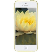 Смартфон Apple iPhone 5 16GB (Gold)