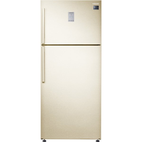 Холодильник с морозильной камерой Samsung RT53K6330EF