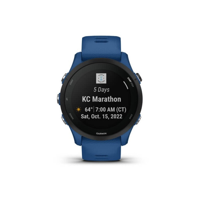 Смарт-часы Garmin Forerunner 255 Tidal Blue (010-02641-01/11)