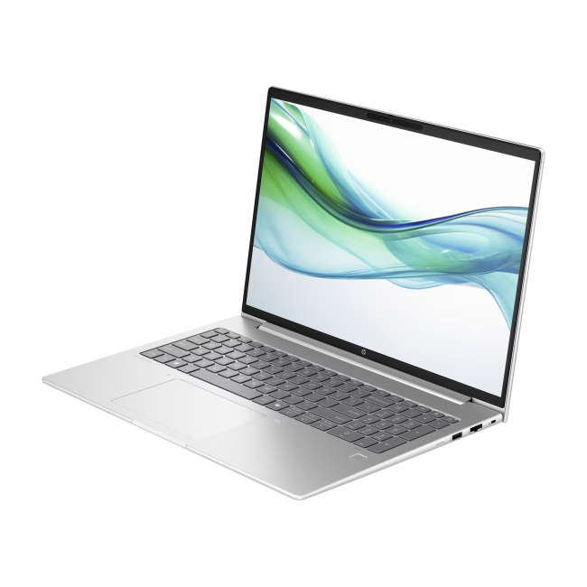 Ноутбук HP ProBook 460 G11 (A1LH5UT)