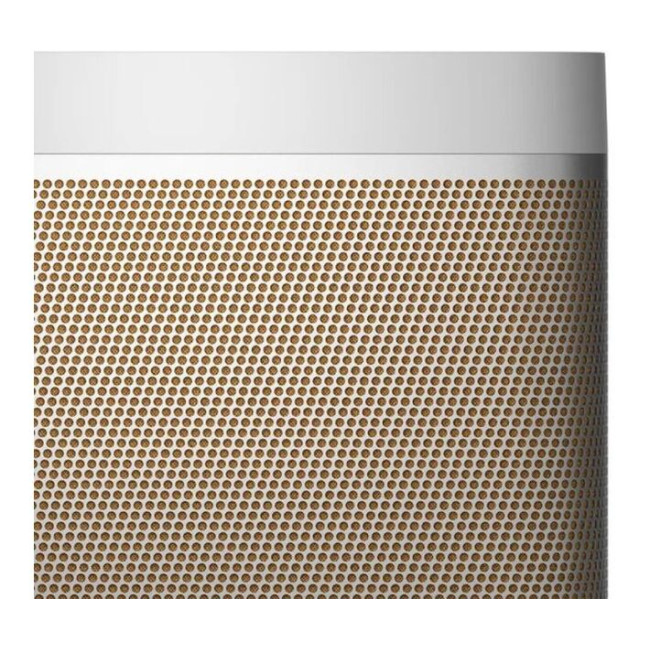 Bang & Olufsen Beolit 20 Grey Mist