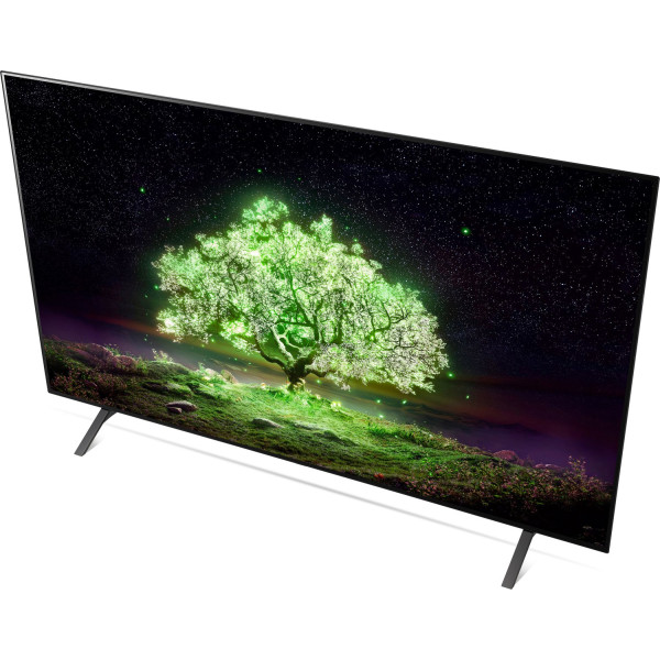 Телевизор LG OLED55A13