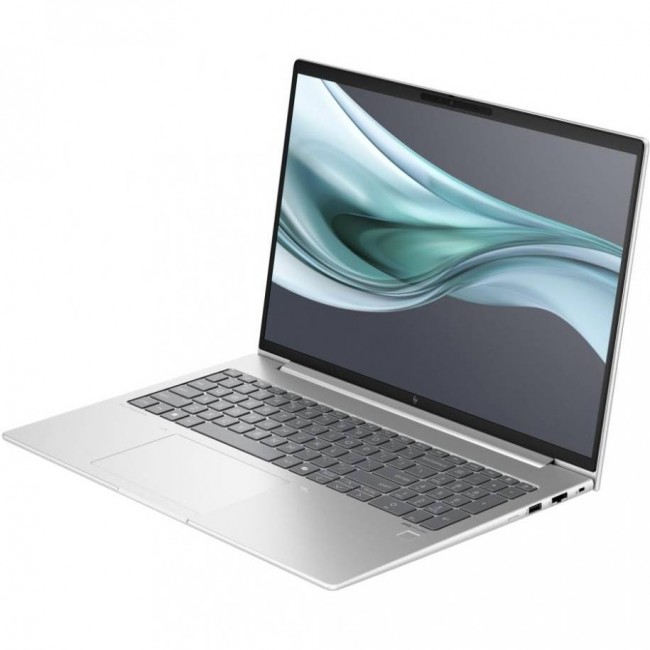 HP EliteBook 660 G11 (902F5AV_V1)