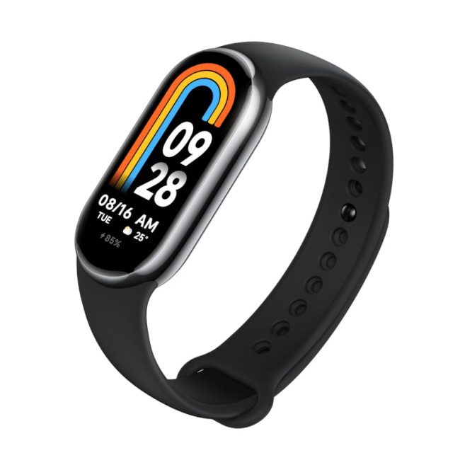Розумний годинник Xiaomi Mi Smart Band 8 Graphite Black (BHR7165GL)