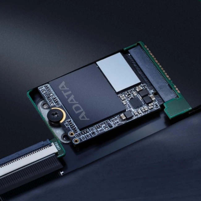 ADATA GAMMIX S55 2 TB (SGAMMIXS55-2T-C)