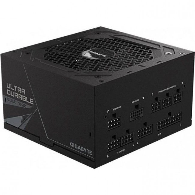 GIGABYTE UD1000GM PG5 (GP-UD1000GM-PG5)