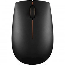 Lenovo 300 Compact (GX30K79401)