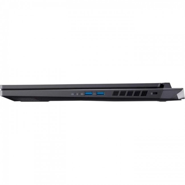 Acer Nitro 17 AN17-42-R7XK Obsidian Black (NH.QSDEU.005)