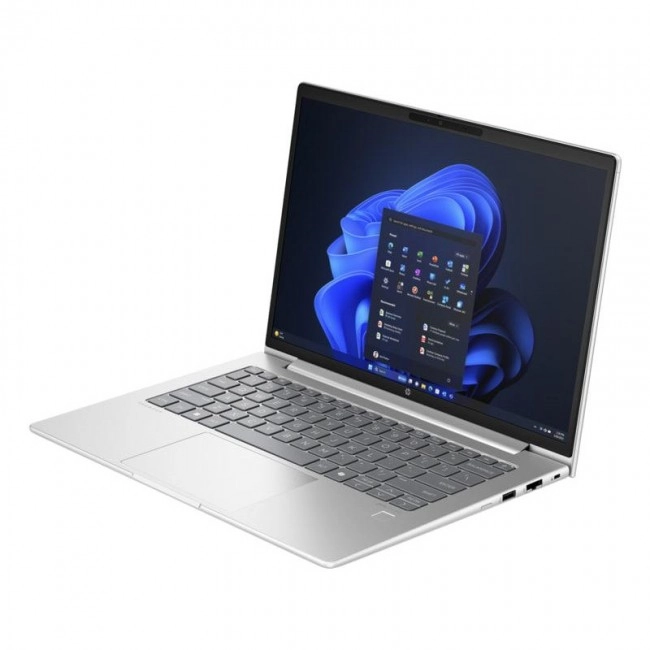 HP ProBook 445 G11 Pike Silver (AD0T6ET)