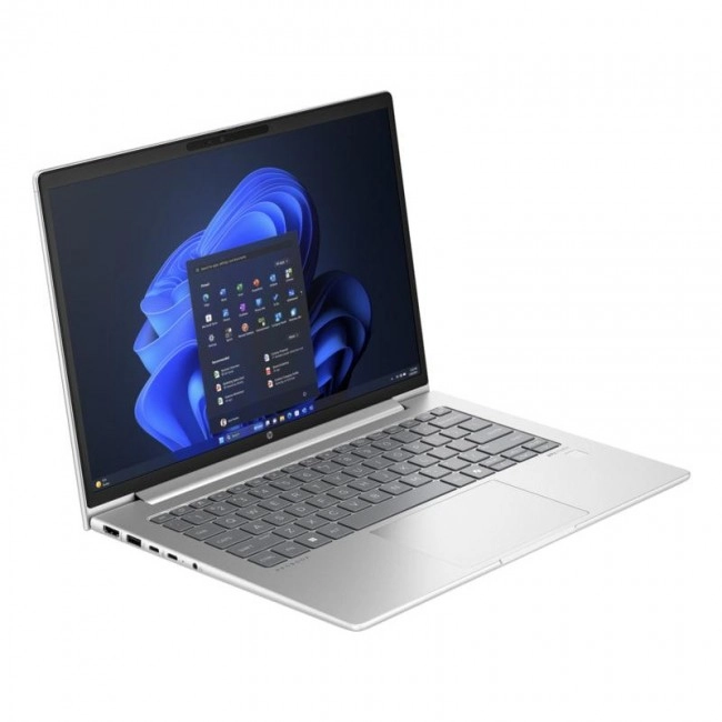 HP ProBook 445 G11 Pike Silver (AD0T6ET)