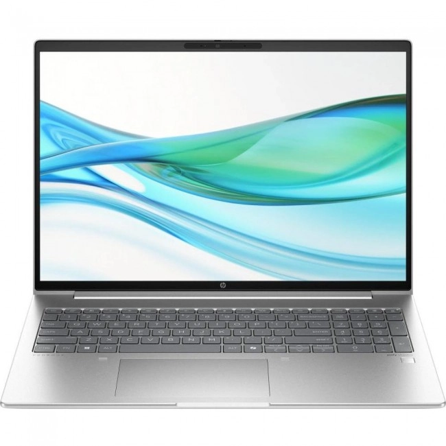 HP ProBook 460 G11 Pike Silver (8Z677AV_V7)