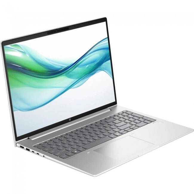 HP ProBook 460 G11 Pike Silver (8Z677AV_V7)