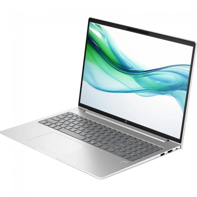 HP ProBook 460 G11 Pike Silver (8Z677AV_V7)