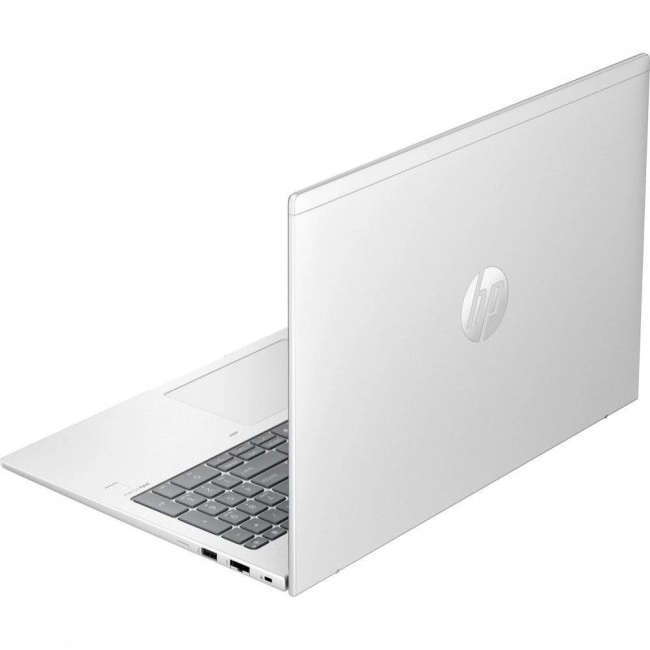 HP ProBook 460 G11 Pike Silver (8Z677AV_V7)