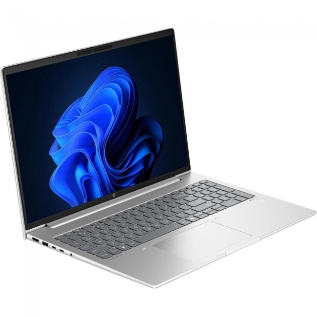 HP ProBook 460 G11 Silver (9Y7B4ET)