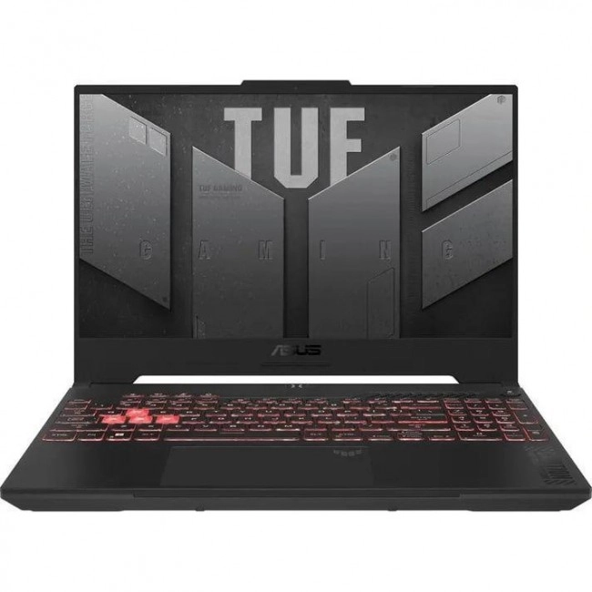 Asus TUF Gaming A15 FA507NV (FA507NV-LP023) Custom 32Gb/1TB