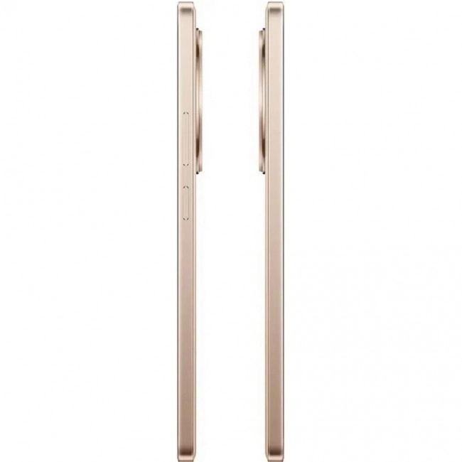 realme 13+ 12/256GB Victory Gold
