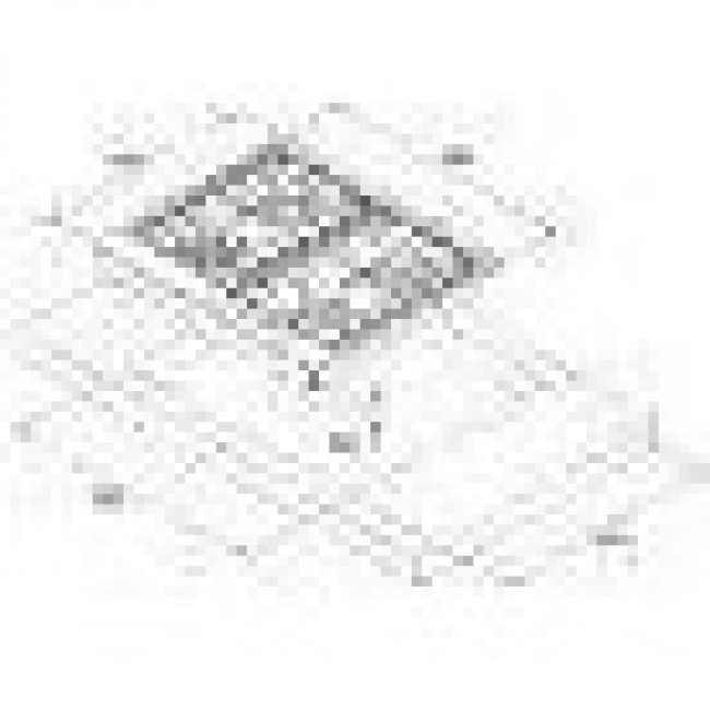 Fabiano FHG-R 27-44 VGH-T Burgundy (8112.508.0196)