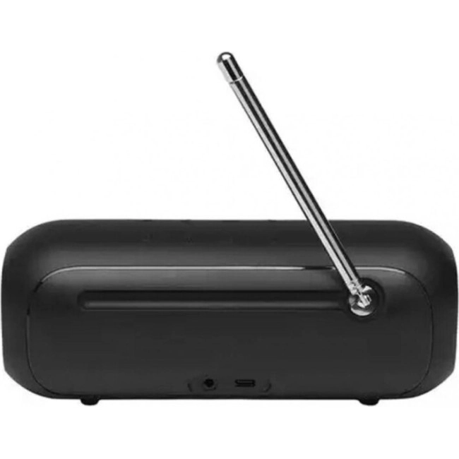 Портативная радиоколонка JBL Tuner 2 Black (JBLTUNER2BLK)