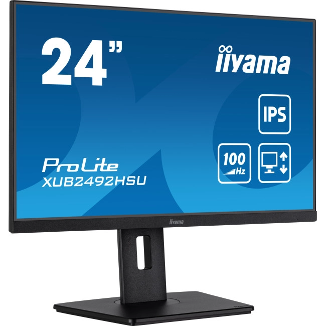 Монитор iiyama ProLite XUB2492HSU-B6