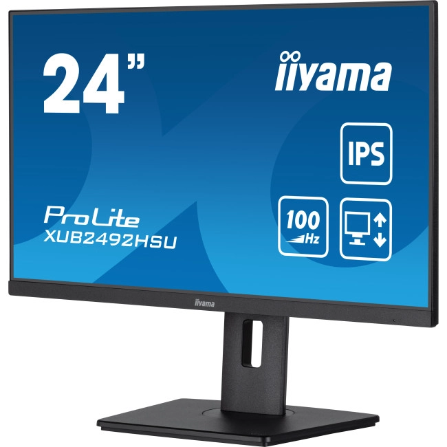 Монитор iiyama ProLite XUB2492HSU-B6