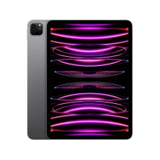 Apple iPad Pro 11 2022 Wi-Fi + Cellular 256GB Space Gray (MP573, MNYE3)