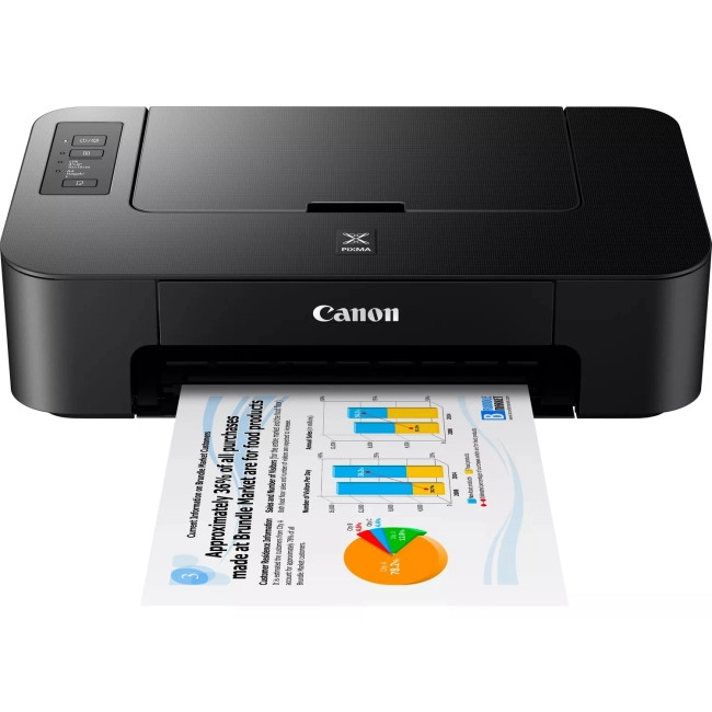 Принтер Canon PIXMA TS205 (2319C006)
