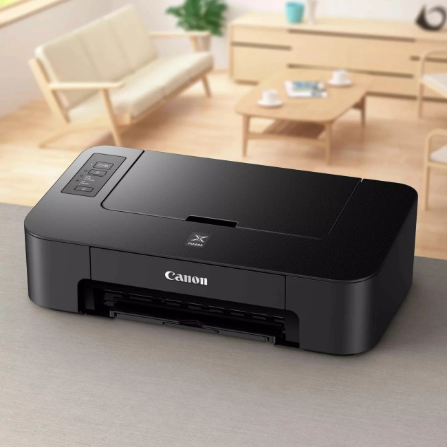 Принтер Canon PIXMA TS205 (2319C006)